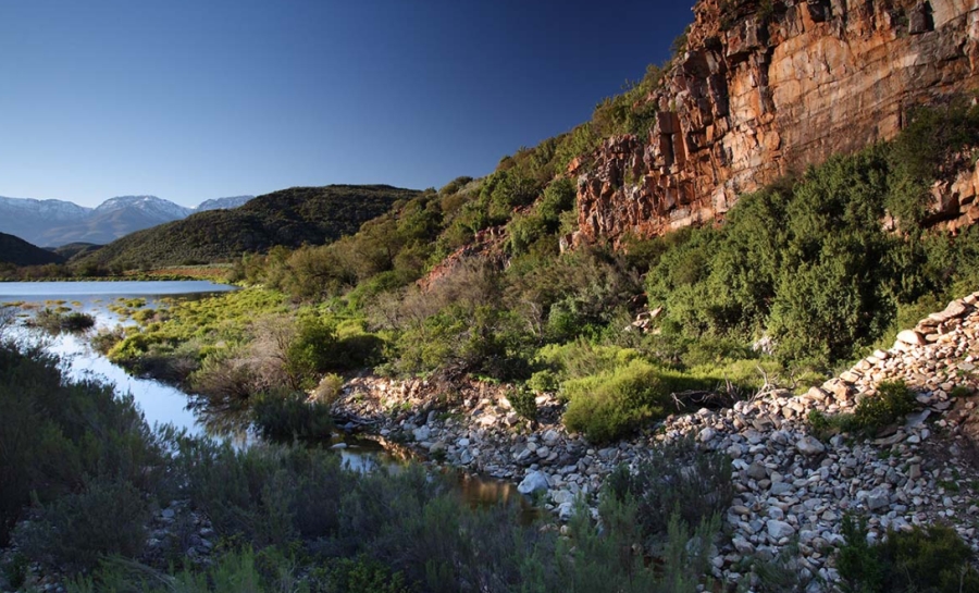 7 Bedroom Property for Sale in De Rust Western Cape